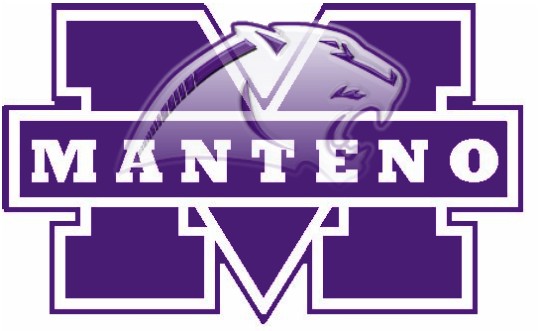 System Logo